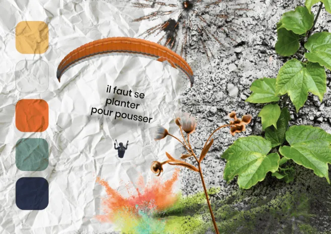 Moodboard pour mon identité visuelle